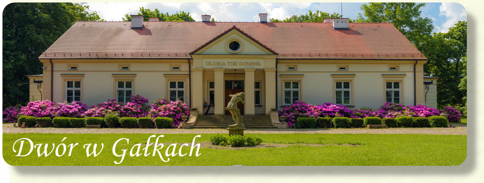 Galki_20190602_17-res-round-top-sh